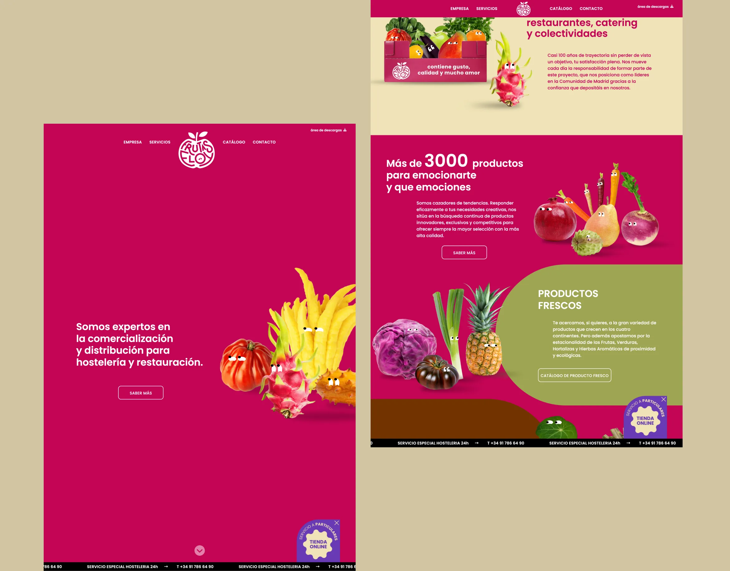 Desarrollo web para Frutas Eloy